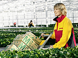 DHL: GoGreen mit eigenem Klimaprojekt - DHL GoGreen